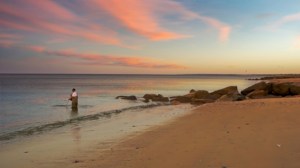 Clam digging in Cape Cod