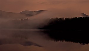 Cooper Lake Mist