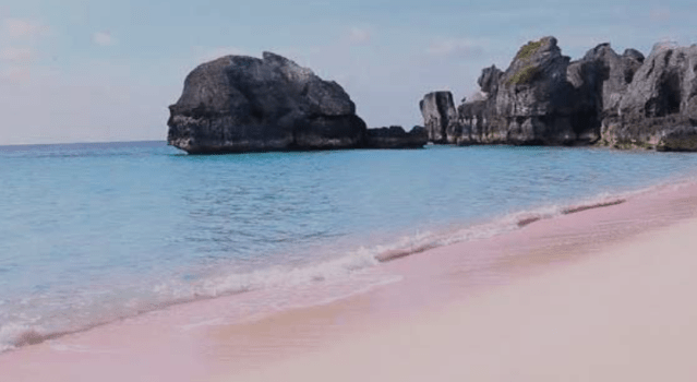 It Goes Putt&nbsp;Putt